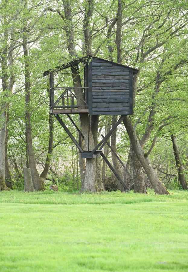 Kaimo Turizmo Sodyba Satavi Villa Kinty Kültér fotó