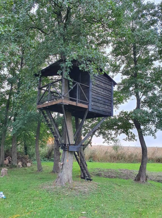 Kaimo Turizmo Sodyba Satavi Villa Kinty Kültér fotó