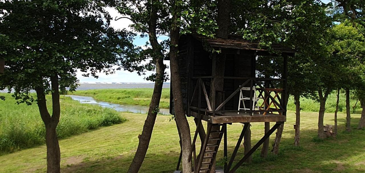 Kaimo Turizmo Sodyba Satavi Villa Kinty Kültér fotó